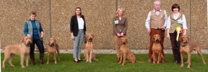 Our Crufts Team - 